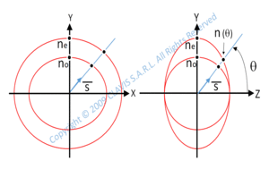 polarization